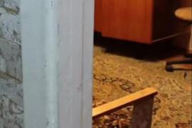 Сдаю 1 комнатную квартиру на Силикатном.