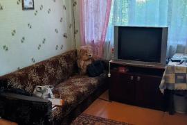 1-к. квартира, 30,2 м², 2/2 эт.