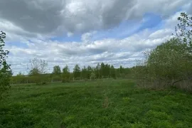 12 сот., Усадье