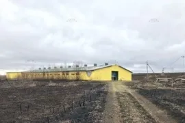 Телятник, Нестеровка