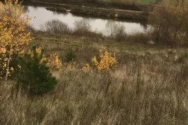 Участок 20 сот., д.Колышево