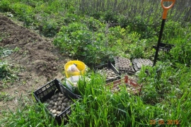 Участок, 18 сот.

