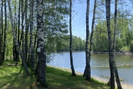 База отдыха 6,5 га 