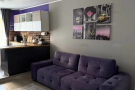 1-к. квартира, 43,9 м², 1/17 эт.