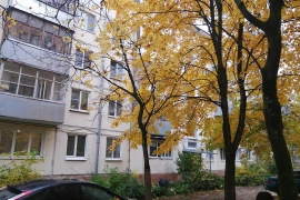 3/5 пан 55.5 м2