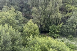 1-к кв. Калужская область, Калуга Московская ул., 315к2 (31.0 м²)