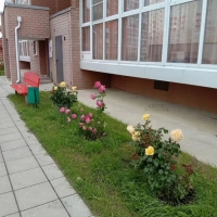 1-к. квартира, 43,6 м², 3/12 эт.