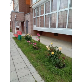 1-к. квартира, 43,6 м², 3/12 эт.