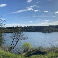 Участок 9 сот. (СНТ, ДНП)