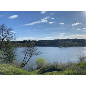 Участок 9 сот. (СНТ, ДНП)