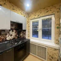 1-к. квартира, 29,8 м², 1/5 эт.