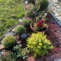 Дача 37,4 м² на участке 4,7 сот.