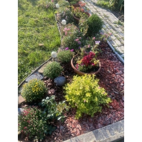 Дача 37,4 м² на участке 4,7 сот.