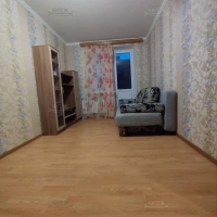 1-к. квартира, 33,3 м², 2/3 эт.