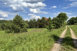 Участок 1 Га, Горки-1