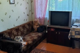 1-к. квартира, 30,2 м², 2/2 эт.