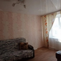 1-к. квартира, 31,3 м², 5/5 эт.