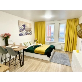 Квартира-студия, 24,3 м², 23/25 эт.